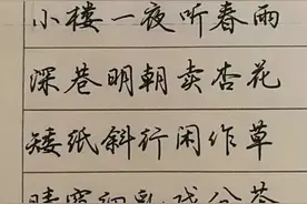 硬笔书法作品欣赏，漂亮钢笔字图片