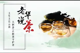 老华说茶——喝普洱茶为什么会头晕心慌，要怎么办？图片