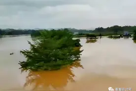 特大暴雨席卷广西玉林：洪水淹没平房房顶，山体滑坡致10人遇难图片