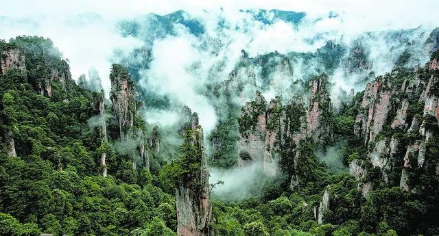 �����ĵ��Ƽ� | �żҽ磺�����ƺ���������