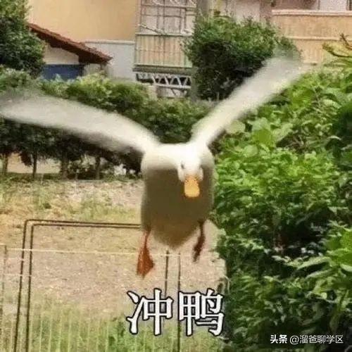 绱鎶曞叆90浜裤€佸紩杩?79鍚嶆牎璧勬簮鐨勫畠锛岃兘鍚︽垚涓烘暀鑲插己鍖猴紵