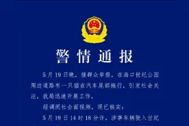 海口一车辆当街拖行虐猫？警方通报：系意外，未发现故意伤害行为图片