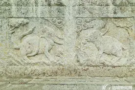 “虎”啸而过，大展宏“兔”图片