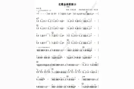 红歌金曲联奏15（二胡版）图片