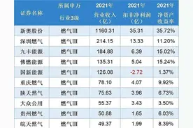 全球天然气大涨，有哪些企业受益？附图附股图片