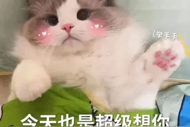 今天也是超级想你表情包图片