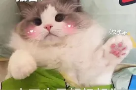 今天也是超级想你表情包图片