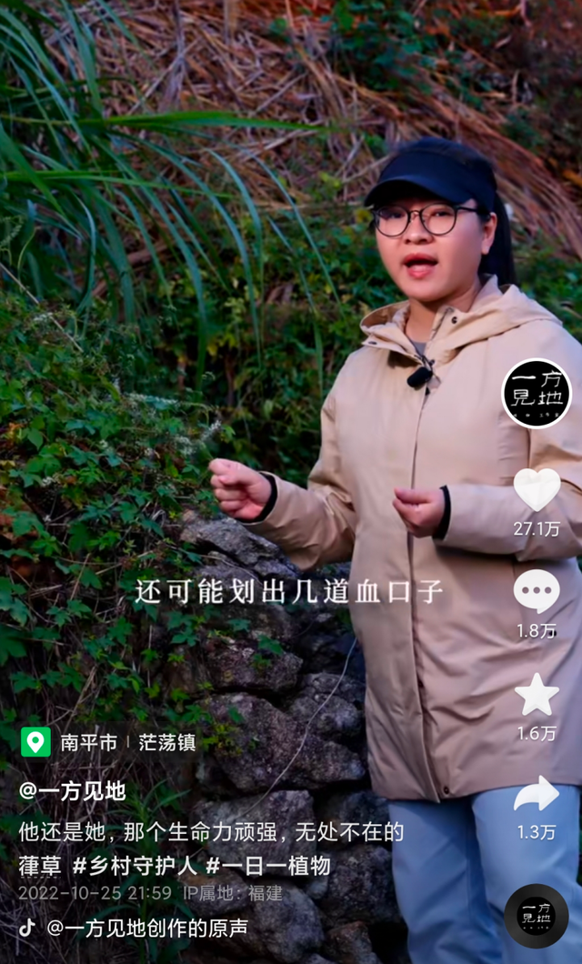 80后夫妻辞职到深山给植物拍大片