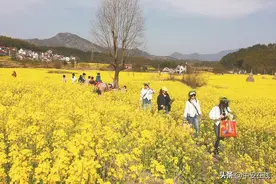 旌德县白地镇汪村：油菜花海迎客多图片