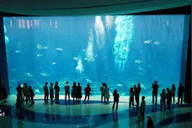 三亚亚特兰蒂斯酒店，10万1晚的套房和198元的水族馆，您选哪个？图片