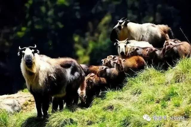 四川省民生研究会新媒体中心-官网