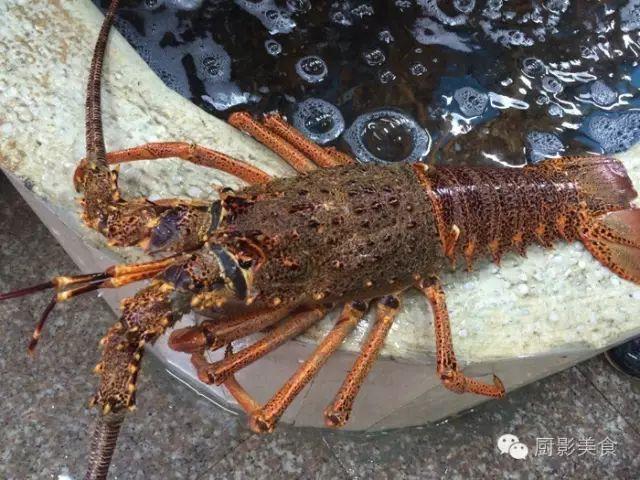 40头的花胶是几级 2025年花胶40头是什么意思?