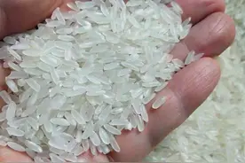 大米为啥会生虫？还能继续吃吗？看完就知道了，这样做一年不长虫图片