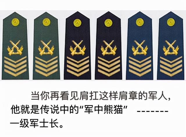 "兵王"阮万林同志今年光荣退役,海军某观通站官兵整齐列队欢送老班长