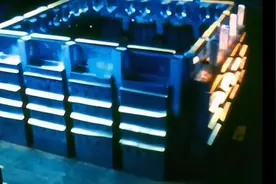 一场耗时1780天的实验：8只老鼠，真的预言了人类的未来？图片