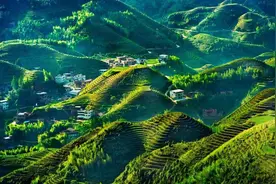 亚热带季风气候图片