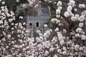 【慕田峪长城烂漫山花节】尽享春日Fun趣，多重折扣限时抢购！图片