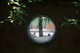 什么是开悟？让我来告诉你真相图片