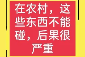 在农村遇到它们请绕开，有多快走多快，千万别手贱去招惹它们图片