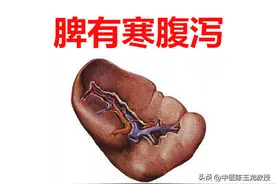 十病九寒，胃寒则呕 肝寒则痛 肾寒则冷！一个方子温中补虚散百寒图片