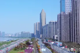 403.209万元！芜湖为这些人发放临时补贴图片