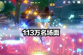 原神：心海的百万名场面，下落攻击113万伤害，玩家用了隐藏buff图片