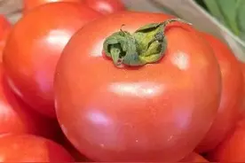 番茄搭架绑蔓好处多，应注意啥？搞不清这些易进坑，看您进了几个图片