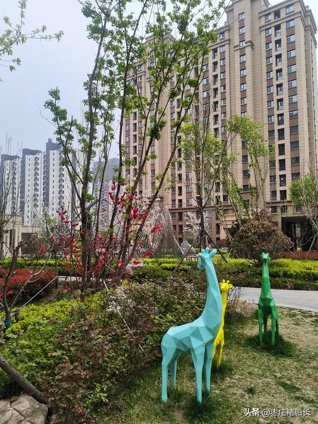 枣庄新城小区探访——南石大盘：水辰•君悦府