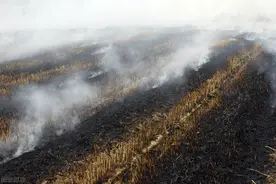 秸秆燃烧开始严查，2村民罚款500元，为啥不能烧？农民怎么办图片