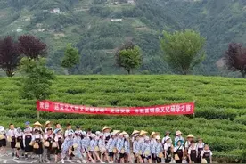 400多名小学生从延安来安康！来干啥？图片