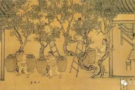 《诗经·邦风·豳风·七月》精美的解读（2）图片