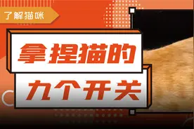一按就灵：猫咪身上的9个神奇开关图片