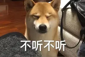 很火的幽默搞笑文案|早上贪睡十分钟，上班路上练轻功图片