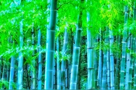 出院后，一定要记得复印住院病案，说不定哪天就有用图片