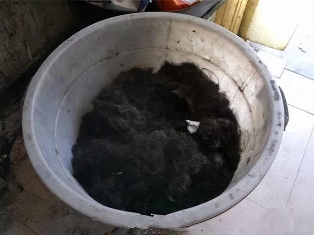 头发也能做酱油？走火入魔的“土法”制酱油，让央视记者都反胃