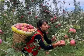 聚焦民族文化，“彝族戏精黑妹”直播花脸节火出圈图片