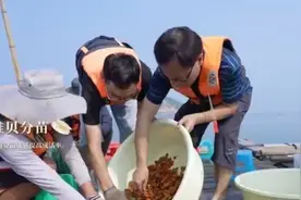 在广东，最好吃的海鲜之一，竟是他一手培育！图片