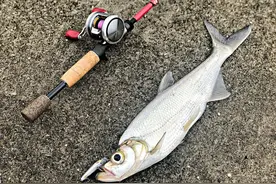 路亚3款最佳拟饵，价格便宜中鱼率高，第一名却被多数钓友忽略图片