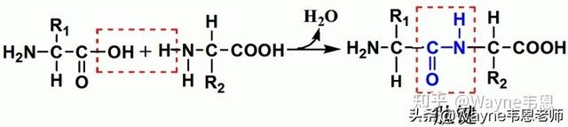 鏌愬ぇ鐗屾皑鍩洪吀鑲屽簳琛ｅ埌搴曟槸榛戠鎶€杩樻槸鏅哄晢绋庯紵浣犱腑鎷涗簡鍚楋紵