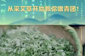 我们的节日·清明|从采艾草开始教你做青团！图片