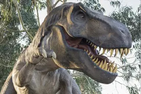 如果霸王龙穿越到现代，它还会是百兽之王吗？生存或许都很难图片