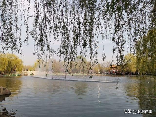 汾阳往事｜殷维明：杏花村游记——汾酒工业园林赏杏花