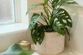 结婚前，一定要问对方的6个问题图片