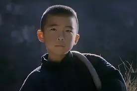 抗日英雄王二小的真实故事图片