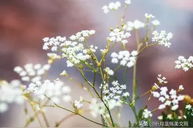 爱入了心，你是我最深的惦念图片