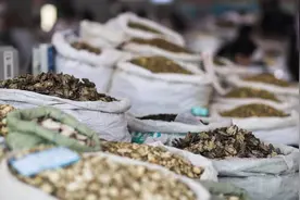 2022年12月9日亳州药市中药材价格表图片