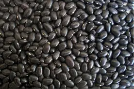 黑豆水好处多多！但这些人要注意！图片