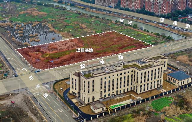 这些公共建筑要焕新！上海五个新城首批民生设施公开征集方案