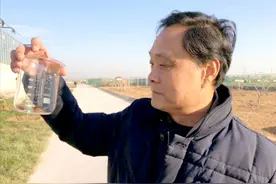 辞去公务员上山养蟑螂，10年养殖40亿只，李延荣如今收入百亿图片