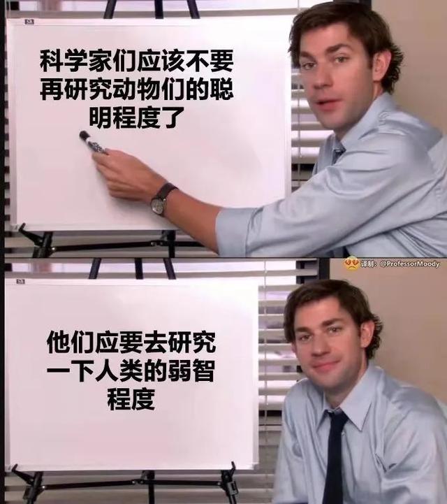 等了3年的最强解谜系列回归，老玩家没白等？